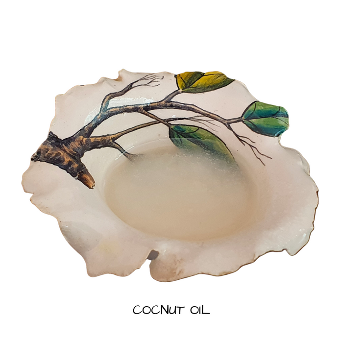 Coconut Oil Refined 500 mls