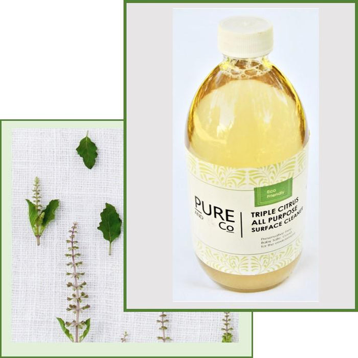 Eco Cleaning - Triple Citrus All Purpose Cleaner 500mls