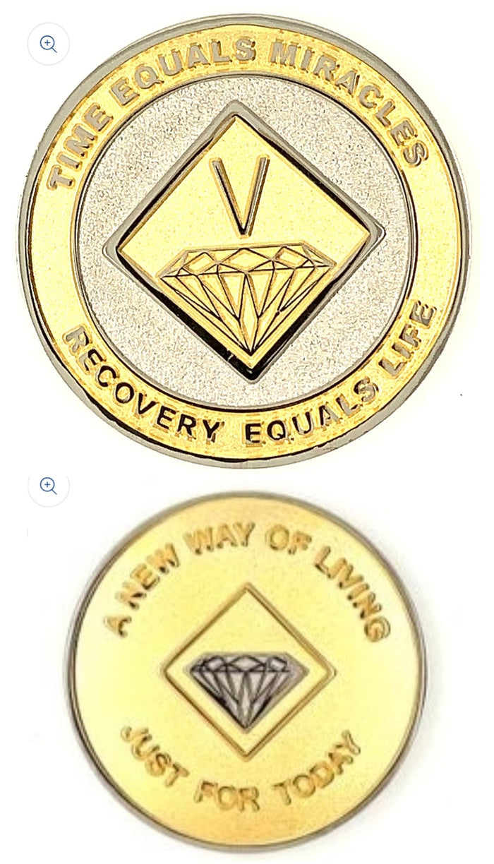 NA Recovery Medallion - BiPlated