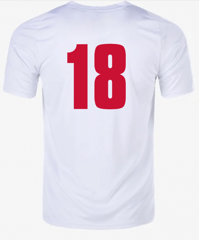 A1091092- Clash Jersey