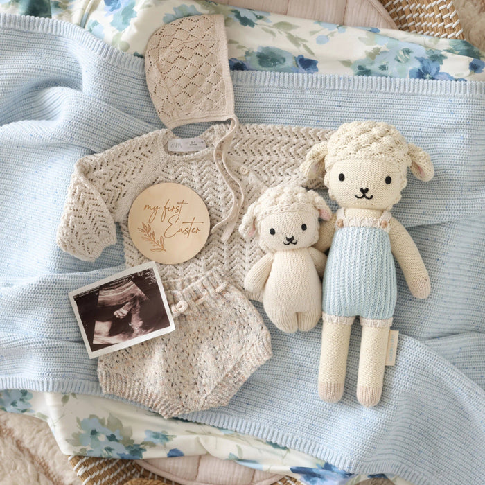 Benjamin the Lamb