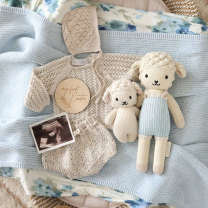 Benjamin the Lamb