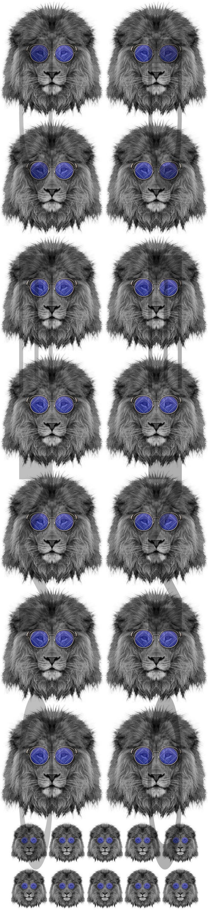 COOL NA LION