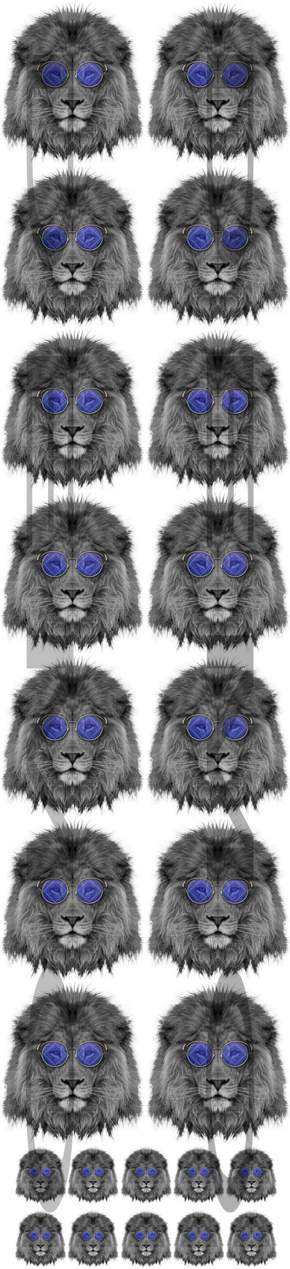 COOL NA LION