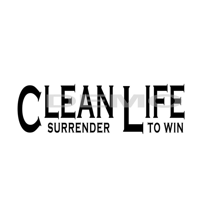 25 / Clean Life /Surrender 9.5 x 3.5