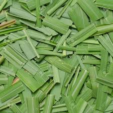 Citronella Essential Oil   1 Litre
