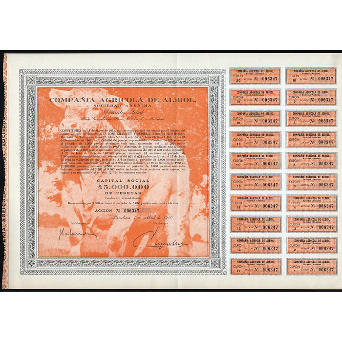 Compania Agricola de Albiol, S.A. Barcelona Spain Stock Certificate