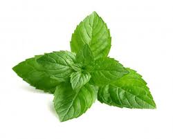 Dried Herbs- Mint Leaves 60 grm