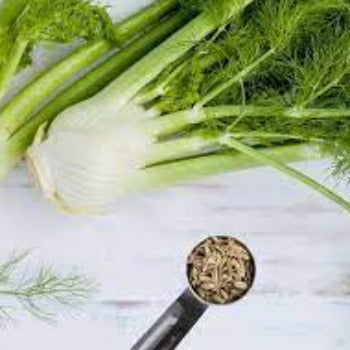EO Fennel Essential Oil 30 ml