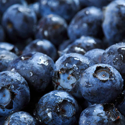 Fragrance Bulk Blueberry 500 mls