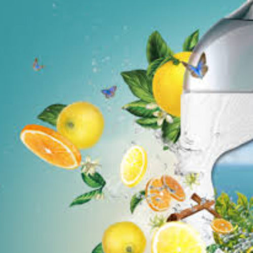 Fragrance Bulk Fresh Burst 500 mls