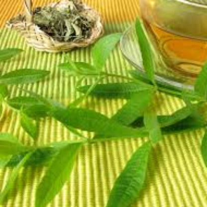 Fragrance Bulk Lemon Verbena 500 mls