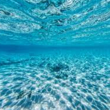 Fragrance Bulk Marine 500 mls