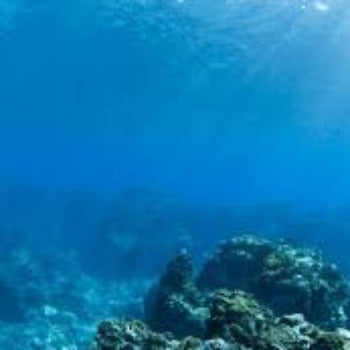 Fragrance Marine Fresh 50 mls