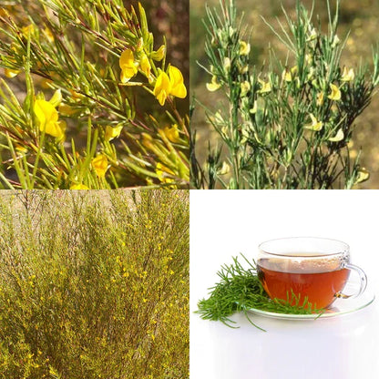 Fragrance Rooibos 2 500 mls