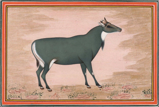 Animal Art