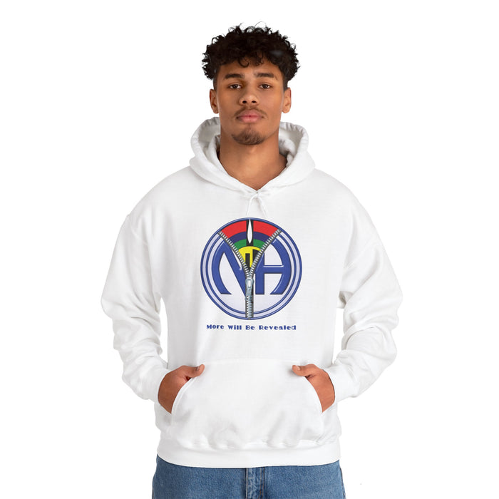 More Will Be Revealed dtg Hoodie