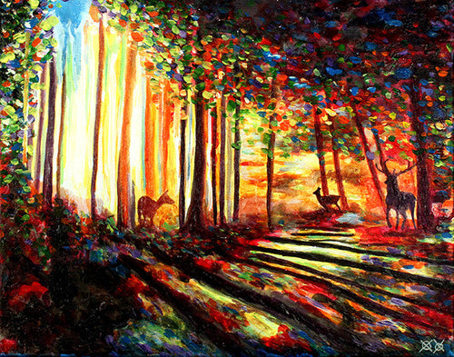Morning Forest - Workroom Stock