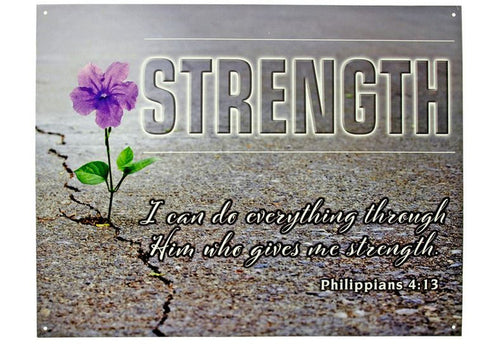 Philippians 4:13 Bible Verse Christian Metal Sign 16x12 Inch Tin Sign