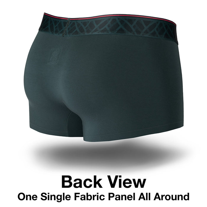 Pinatubo Trunk Back View