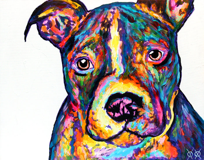 Pittie