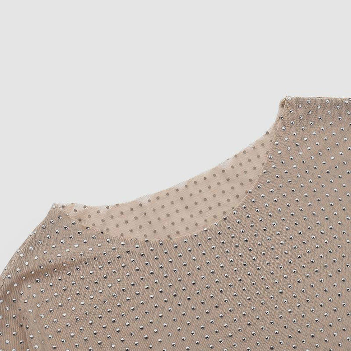 Rosa Taupe Rhinestone Sheer Mesh Round Neck Long Sleeve Top RCWJ03140