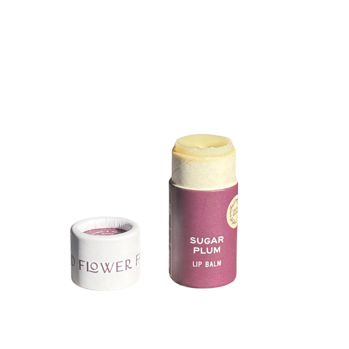 SEASONAL LIMITED Holiday Lip Balm Gift Set of 3 🎁🎄✨