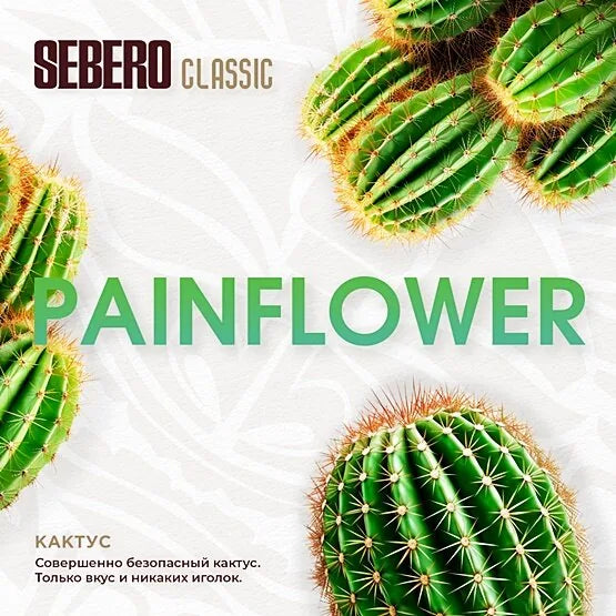 Cactus (painflower)
