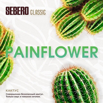 Cactus (painflower)