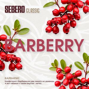 Barberry