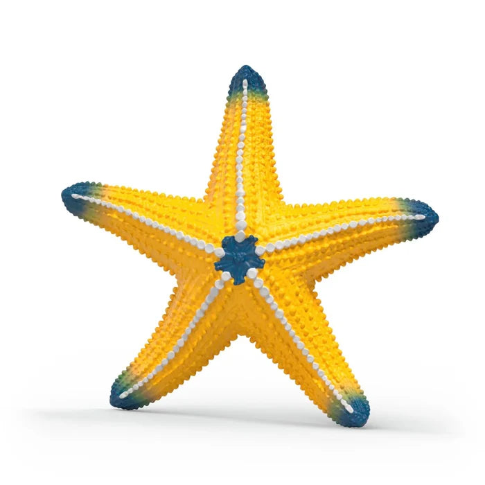 Starfish (Color Change)