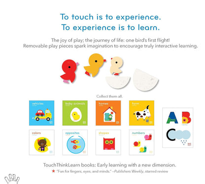 TouchThinkLearn: Fly! - Wee Bee Baby Boutique