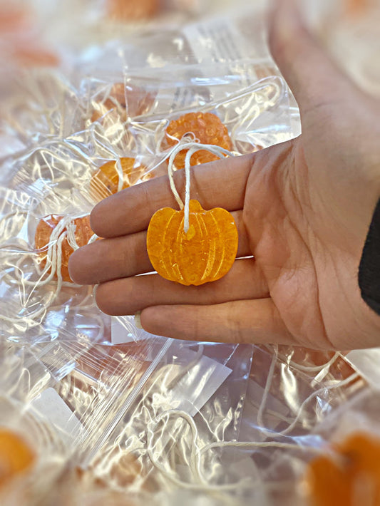 Wholesale | 20 pc | pumpkin spice mini freshies